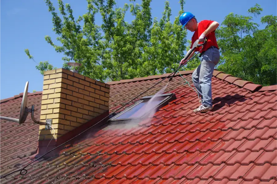 Can Roof Algae Removal Extend Roof Lifespan Miami Gardens, FL Can Roof Algae Removal Extend Roof Lifespan Miami Gardens, FL
