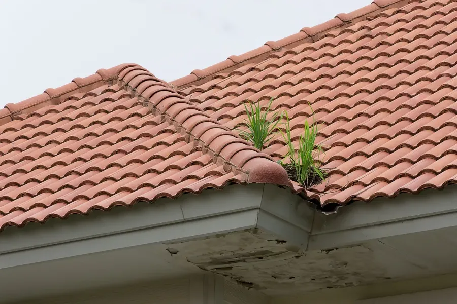 Experienced Roof Cleaning Miami Gardens, FL Experienced Roof Cleaning Miami Gardens, FL