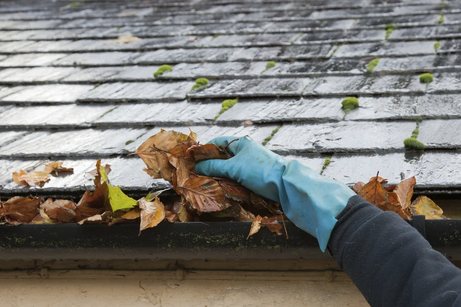 How Roof Cleaning Prevents Long-term Structural Damage in Miami Gardens, FL How Roof Cleaning Prevents Long-term Structural Damage in Miami Gardens, FL