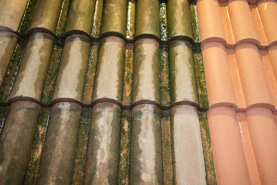 How Roof Washing Helps Extend Roof Lifespan in Miami Gardens, FL