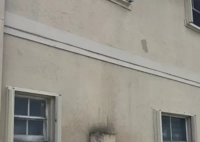 Professional Roof Cleaning