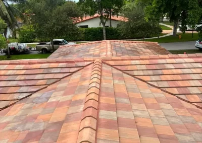 Professional Roof Cleaning