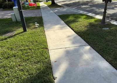 Professional Roof Cleaning