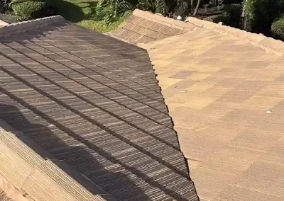 Professional Roof Cleaning