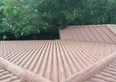 Professional Roof Cleaning