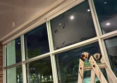 Professional Roof Cleaning