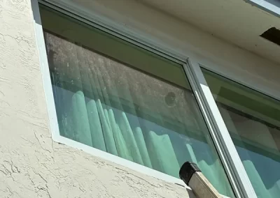 Professional Roof Cleaning