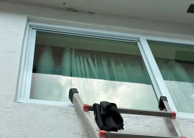 Professional Roof Cleaning