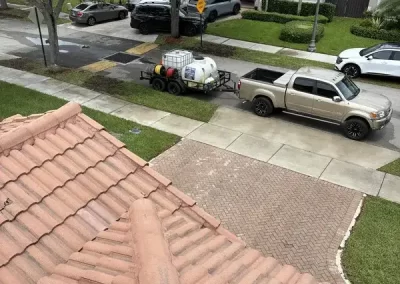 Professional Roof Cleaning