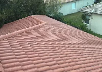 Professional Roof Cleaning