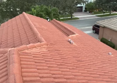 Professional Roof Cleaning