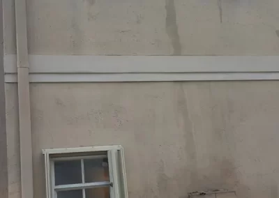 Professional Roof Cleaning