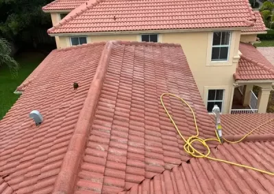Professional Roof Cleaning