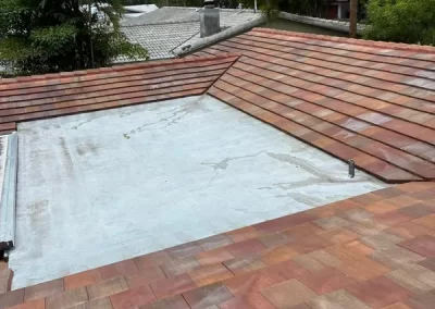 Professional Roof Cleaning