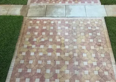 Professional Roof Cleaning