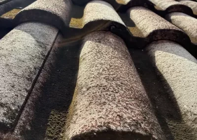 Professional Roof Cleaning