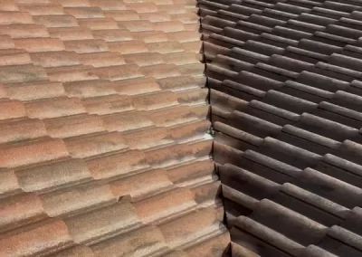 Professional Roof Cleaning