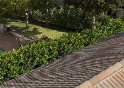 Reliable Roof Cleaning Company