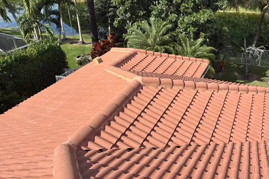 Reliable Roof Cleaning Reliable Roof Cleaning