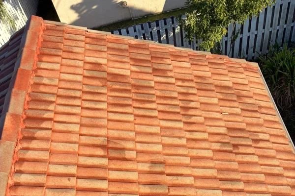 Roof Algae Removal