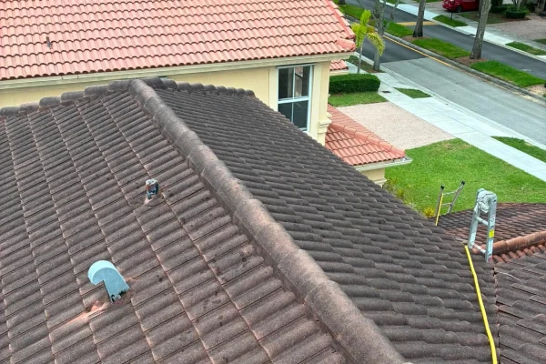 Roof Cleaning