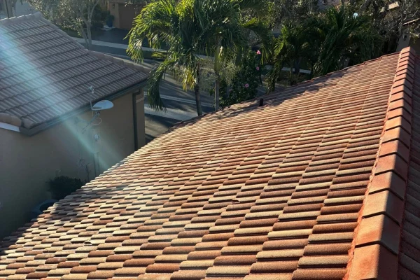 Roof Washing