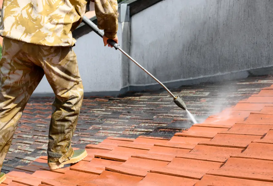 Why Roof Algae Grows on Residential Roofs Miami Gardens, FL Why Roof Algae Grows on Residential Roofs Miami Gardens, FL