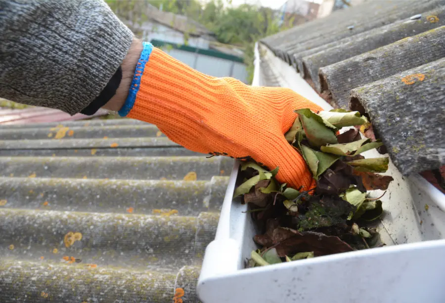 Why Roof Mold Spreads Across Roofing Materials Miami Gardens, FL Why Roof Mold Spreads Across Roofing Materials Miami Gardens, FL