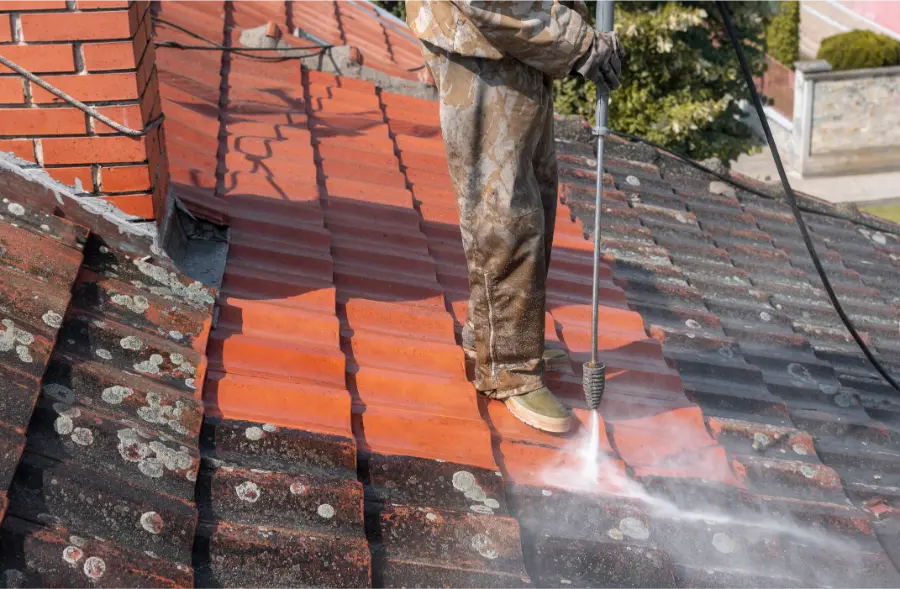 Why Roof Mold Spreads Across Roofing Materials in Miami Gardens, FL Why Roof Mold Spreads Across Roofing Materials in Miami Gardens, FL