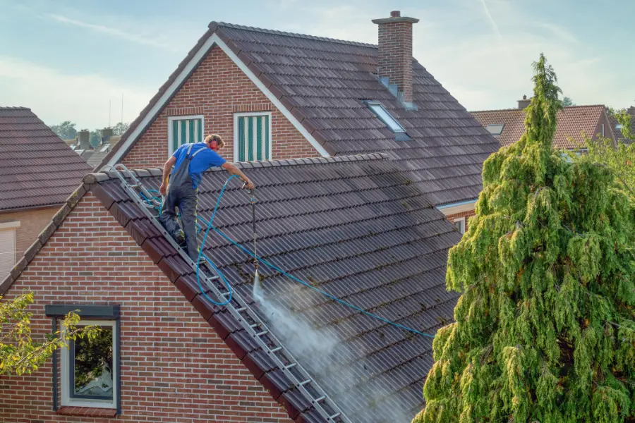 Local Roof Mold Removal in Miami Gardens, FL Local Roof Mold Removal in Miami Gardens, FL